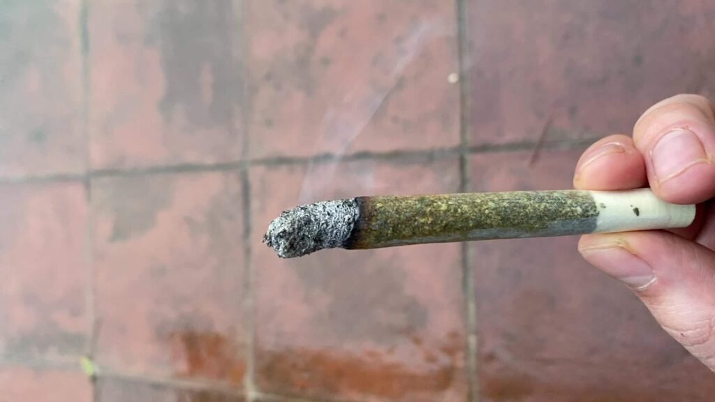 pre-rolled joint